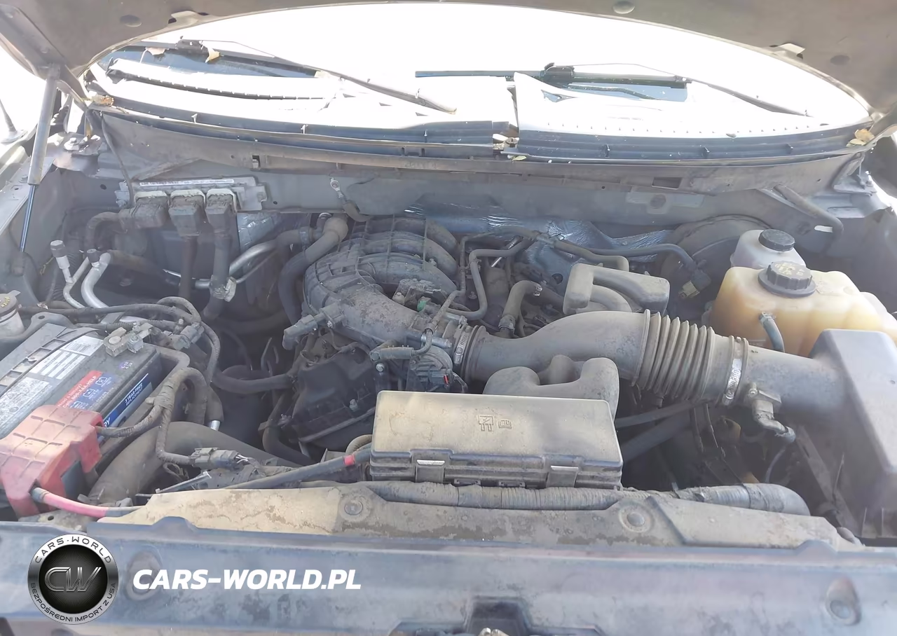 2011 Ford F-150 Xl VIN:1FTEW1CM7BFB10956 - 10