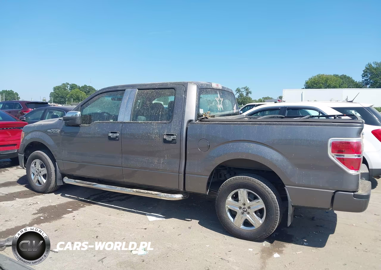 2011 Ford F-150 Xl VIN:1FTEW1CM7BFB10956 - 14