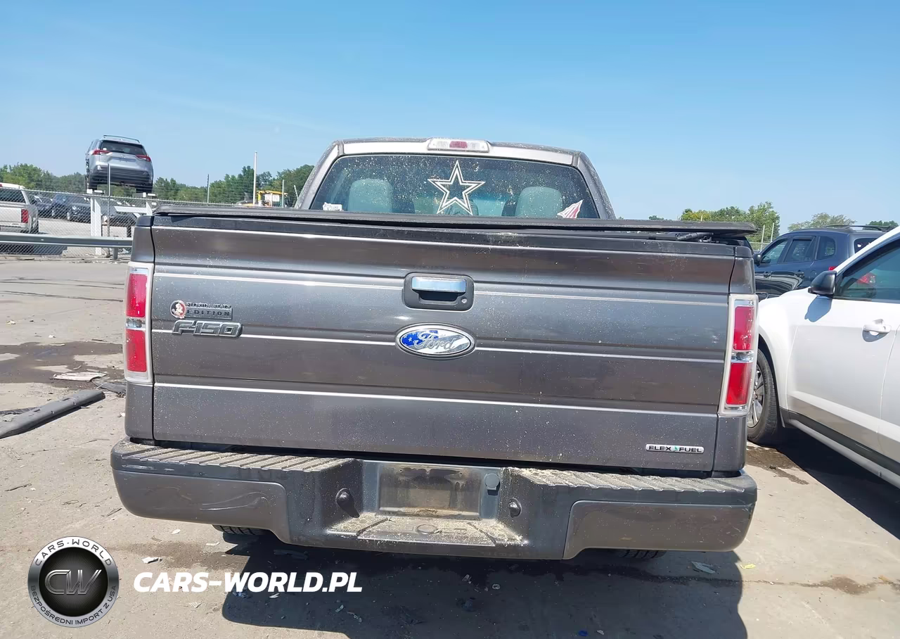 2011 Ford F-150 Xl VIN:1FTEW1CM7BFB10956 - 16