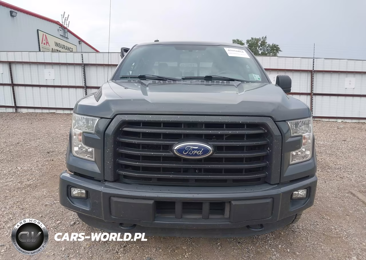 2016 Ford F-150 Xlt VIN:1FTEW1CP8GFA96566 - 12