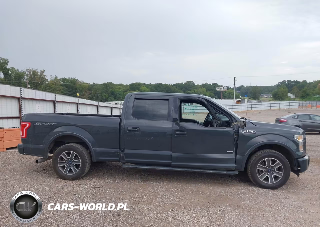 2016 Ford F-150 Xlt VIN:1FTEW1CP8GFA96566 - 13