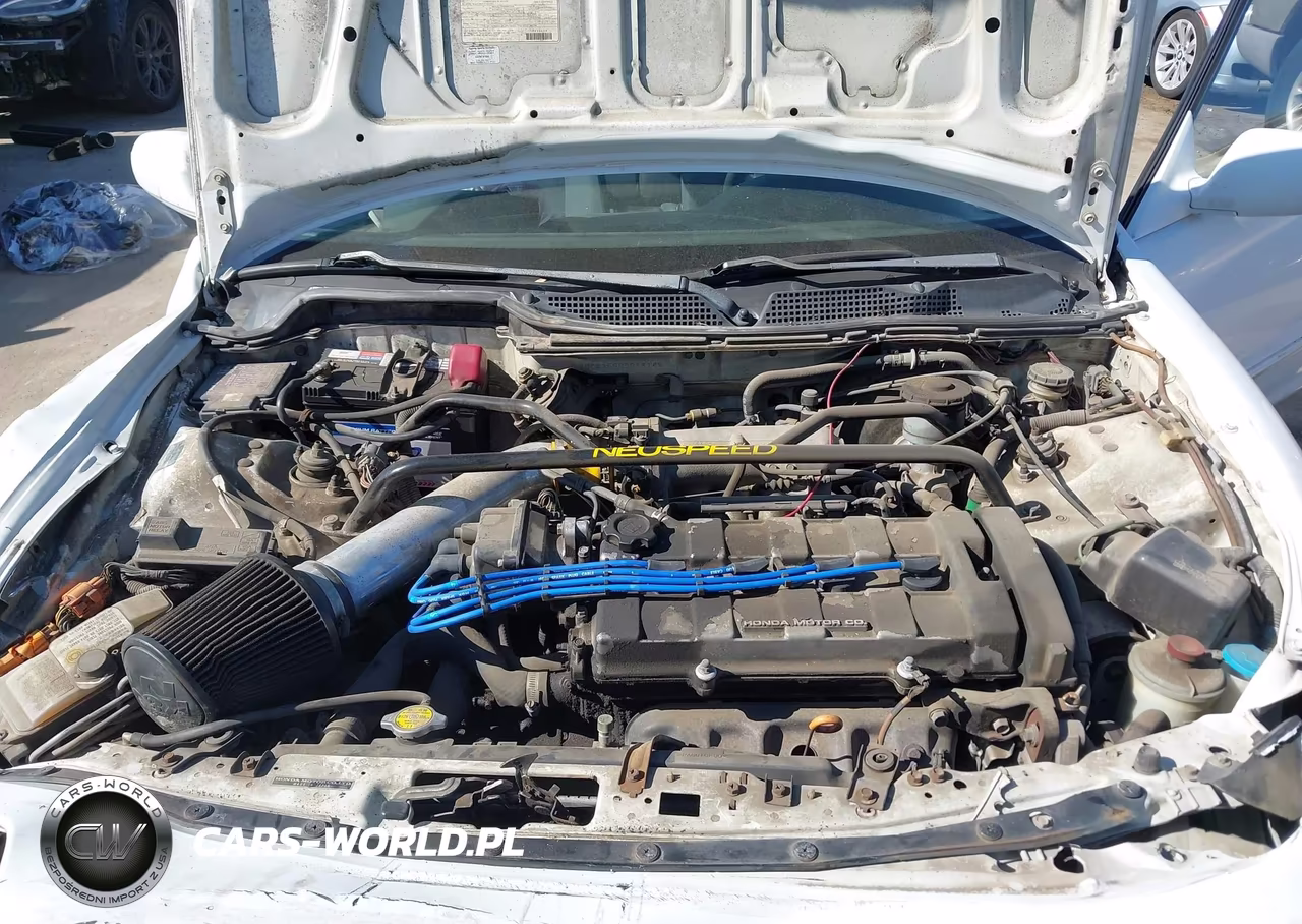 1994 Acura Integra Ls VIN:JH4DC4355RS018145 - 10
