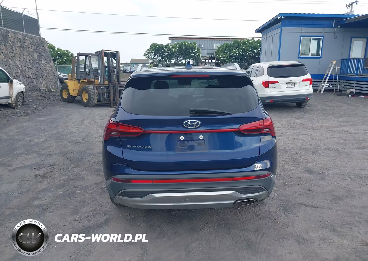2021 Hyundai Santa Fe Sel VIN:5NMS24AJ0MH307496 - 16