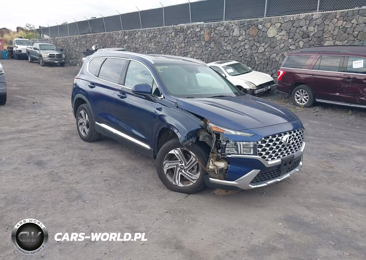 2021 Hyundai Santa Fe Sel VIN:5NMS24AJ0MH307496 - 6