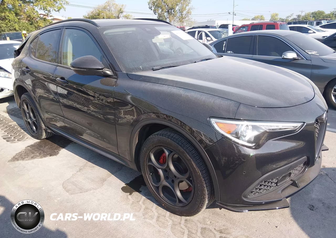2021 Alfa Romeo Stelvio Awd VIN:ZASPAKAN5M7D18427 - 1