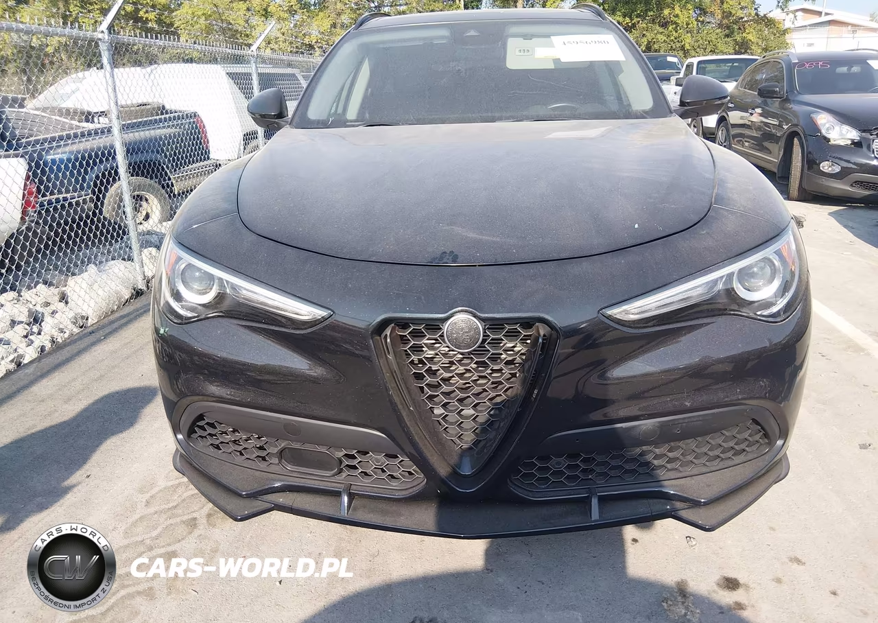 2021 Alfa Romeo Stelvio Awd VIN:ZASPAKAN5M7D18427 - 12