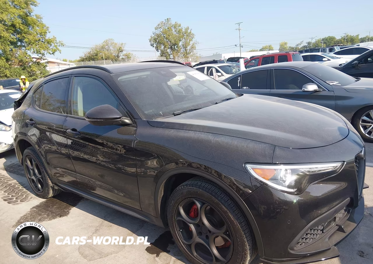 2021 Alfa Romeo Stelvio Awd VIN:ZASPAKAN5M7D18427 - 13