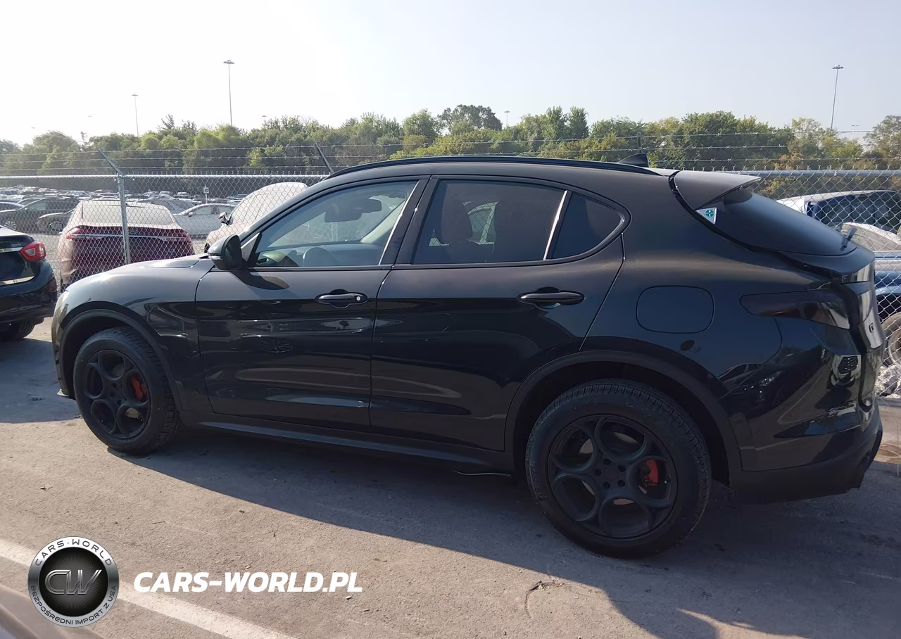 2021 Alfa Romeo Stelvio Awd VIN:ZASPAKAN5M7D18427 - 14