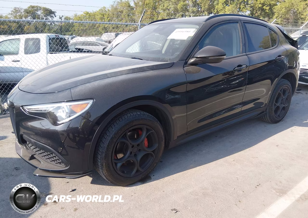 2021 Alfa Romeo Stelvio Awd VIN:ZASPAKAN5M7D18427 - 2