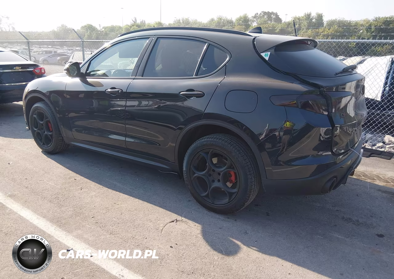2021 Alfa Romeo Stelvio Awd VIN:ZASPAKAN5M7D18427 - 3