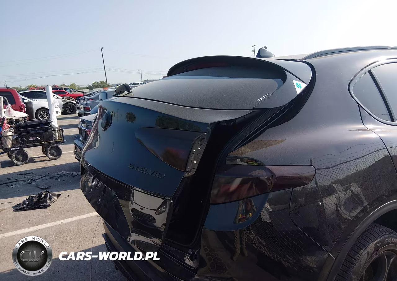 2021 Alfa Romeo Stelvio Awd VIN:ZASPAKAN5M7D18427 - 6