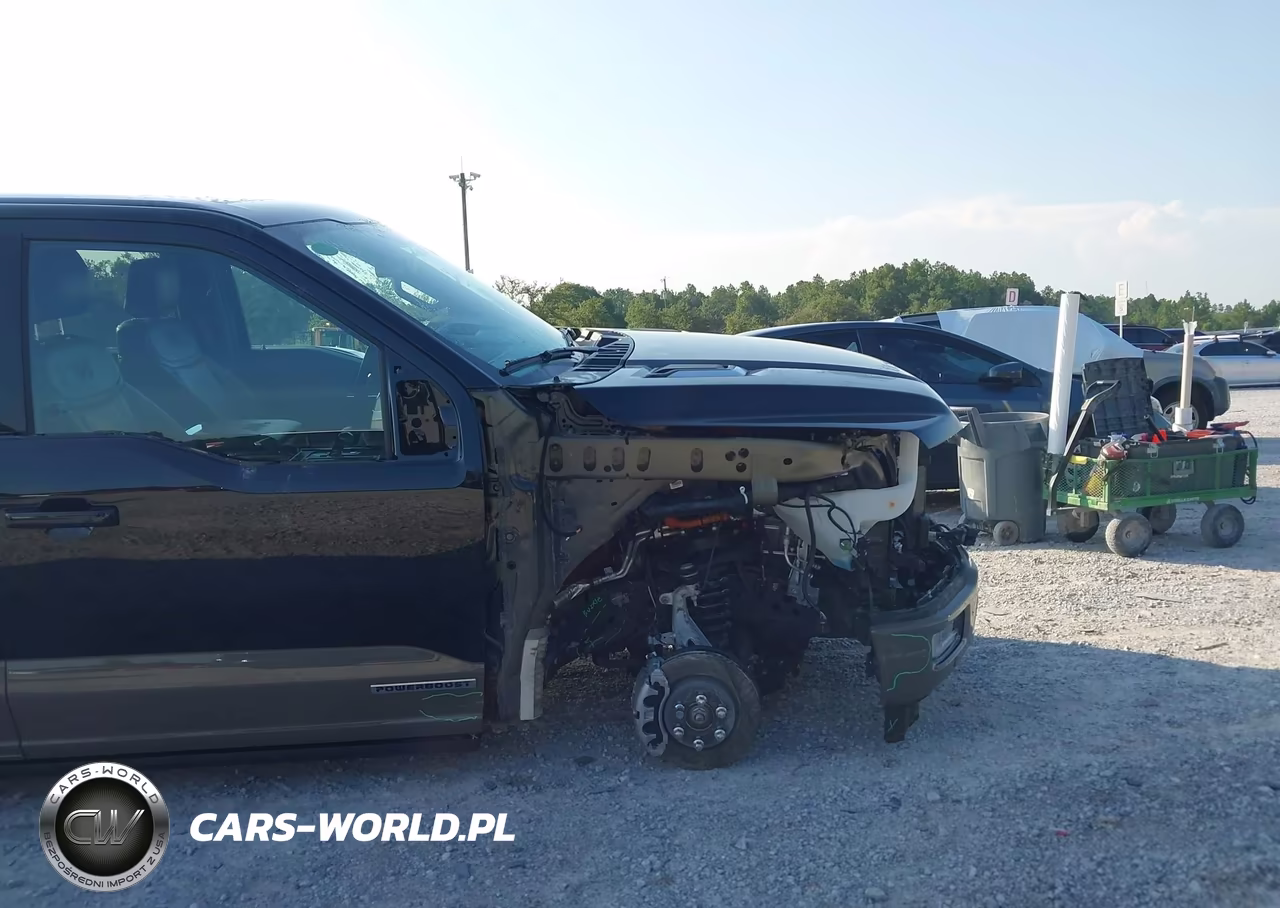 2025 Ford F-150 King Ranch VIN:1FTFW6LD8SFB80662 - 18