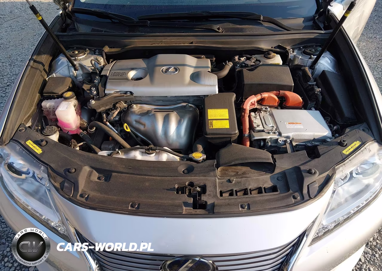 2014 Lexus Es 300H VIN:JTHBW1GG8E2048971 - 10