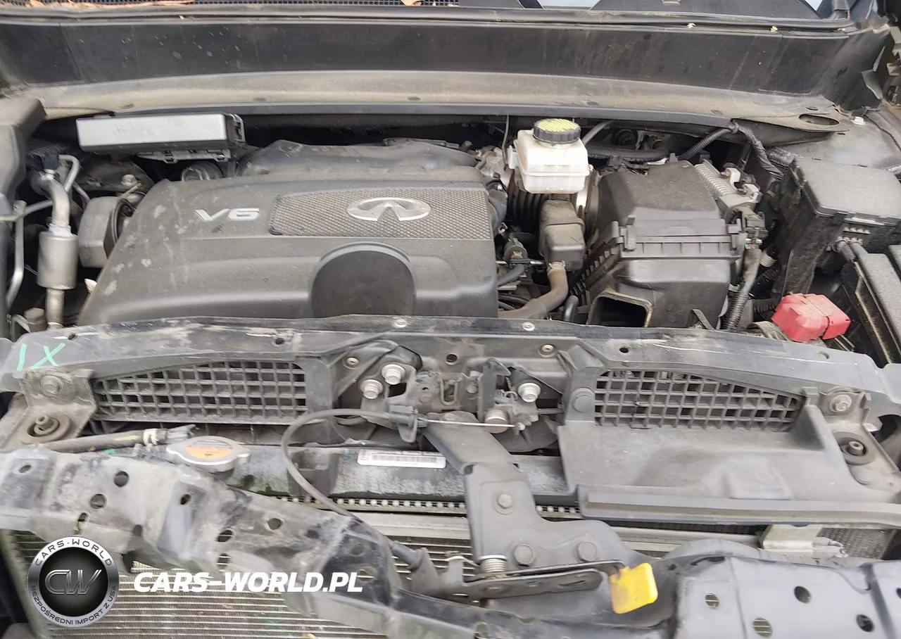 2019 Infiniti Qx60 Pure VIN:5N1DL0MM3KC551686 - 10