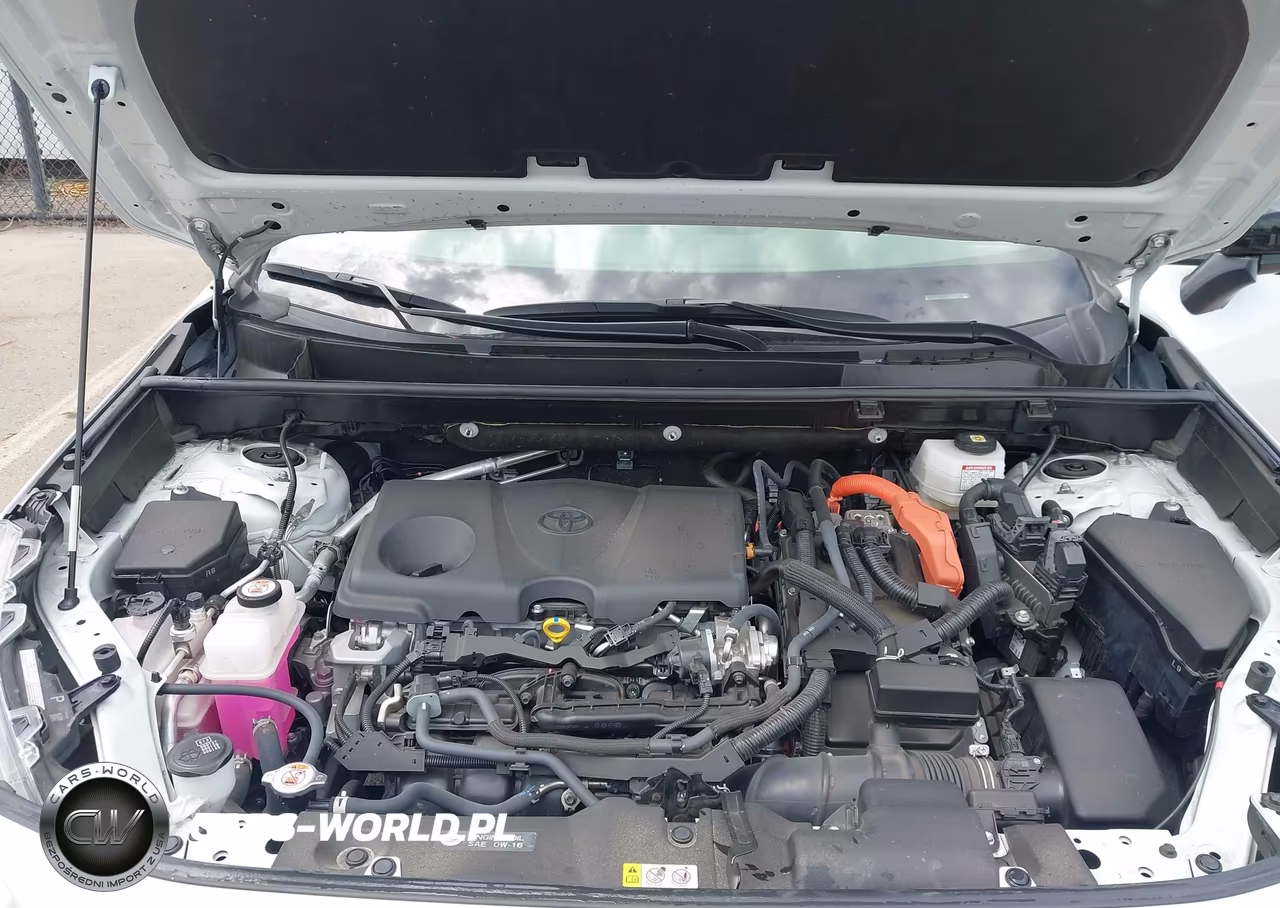 2024 Toyota Rav4 Hybrid Xse VIN:JTME6RFV2RD562273 - 10