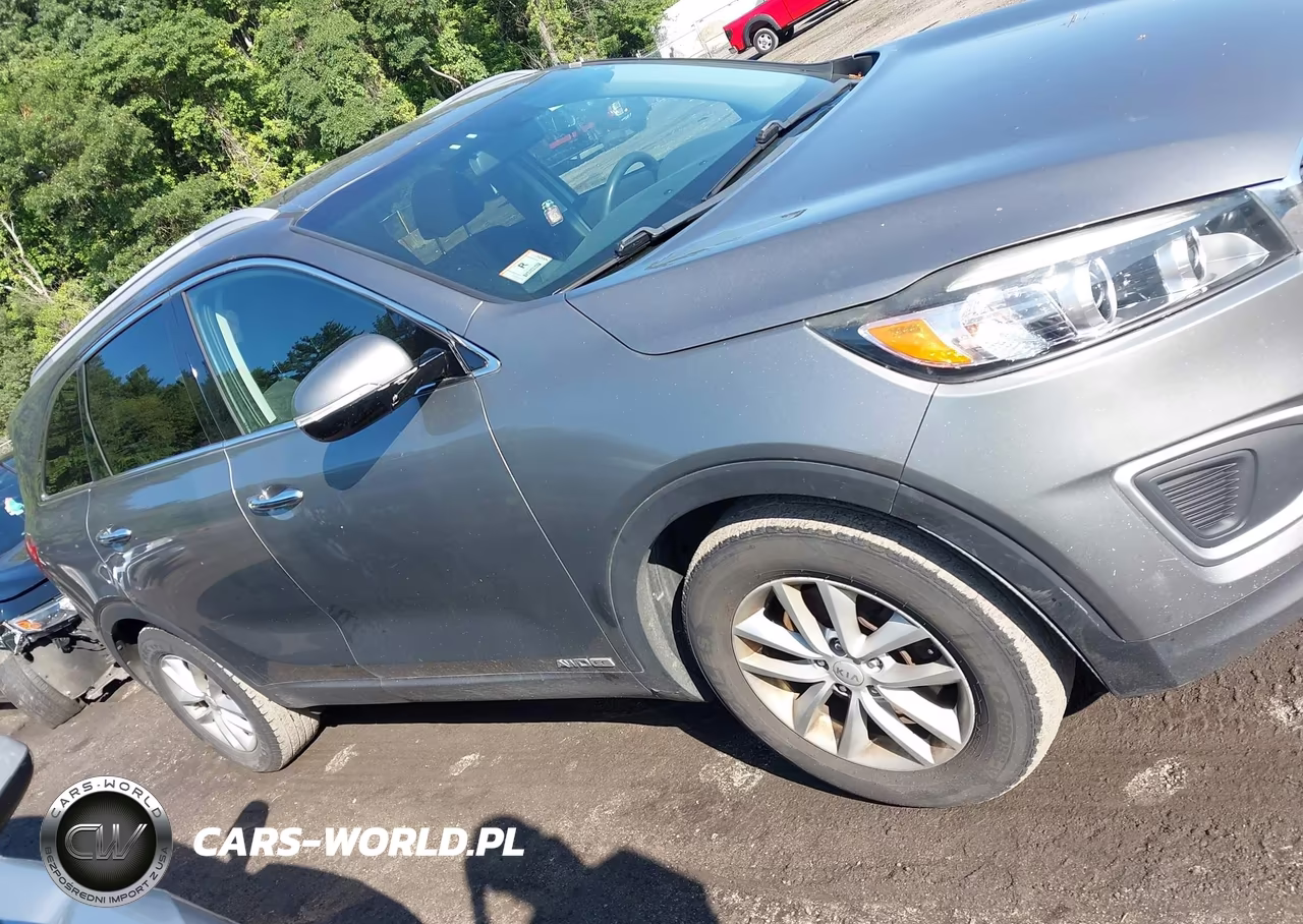 2018 Kia Sorento 3.3L Lx VIN:5XYPGDA54JG371461 - 13