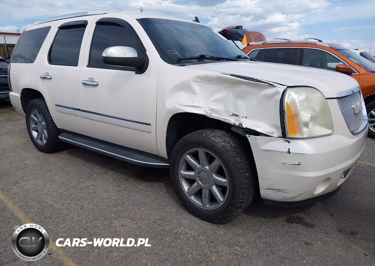 2009 GMC Yukon Denali VIN:1GKFK03219R303335 - 1