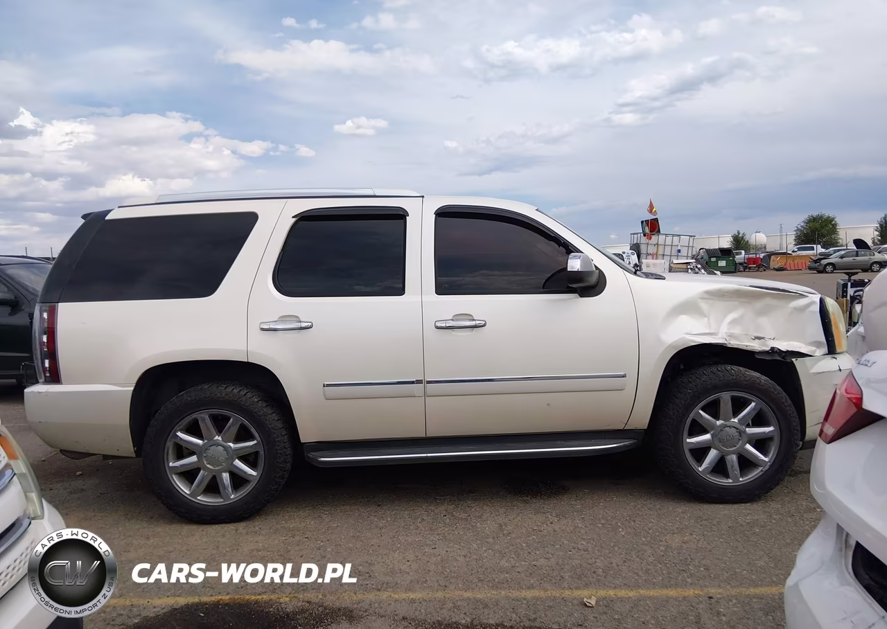 2009 GMC Yukon Denali VIN:1GKFK03219R303335 - 13