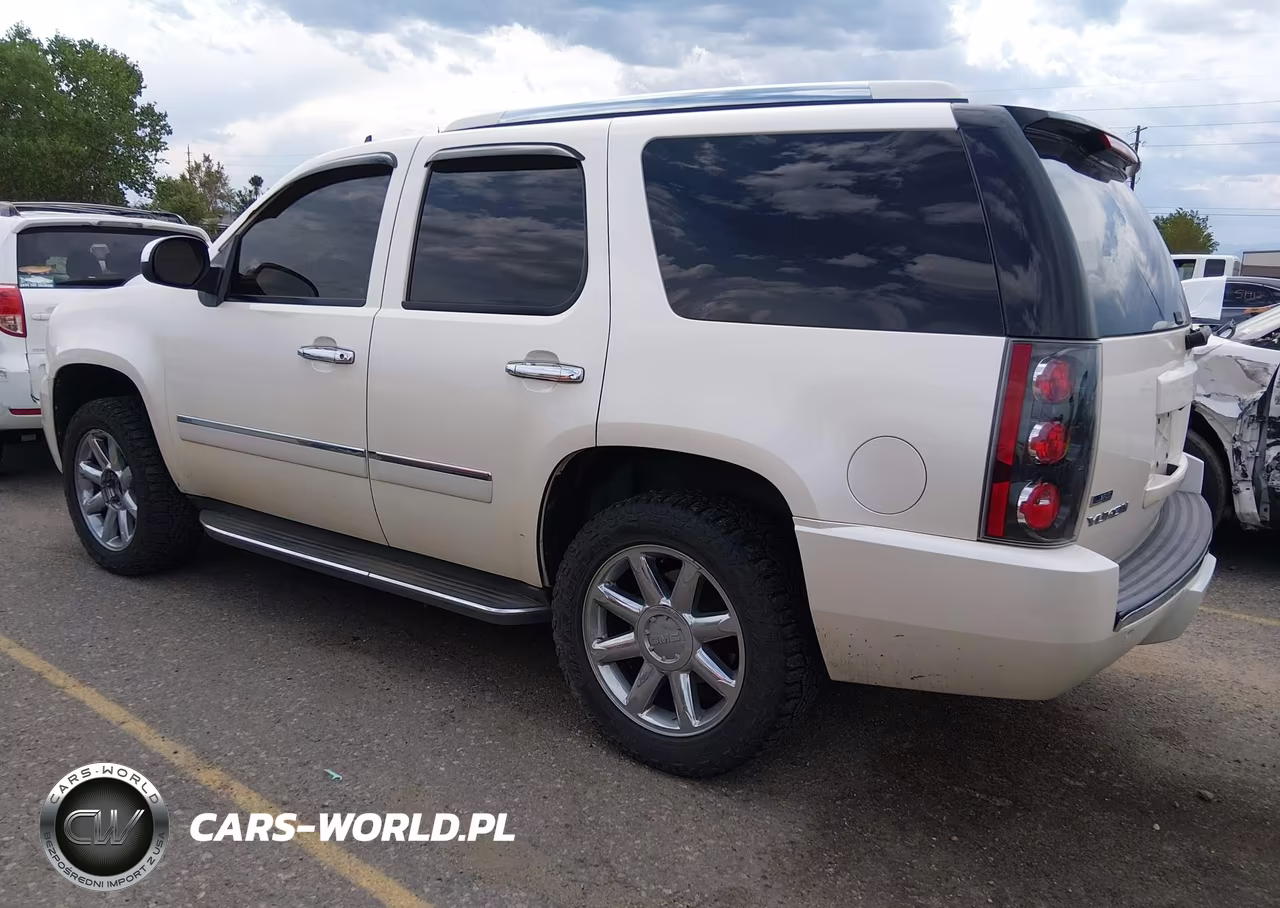 2009 GMC Yukon Denali VIN:1GKFK03219R303335 - 3