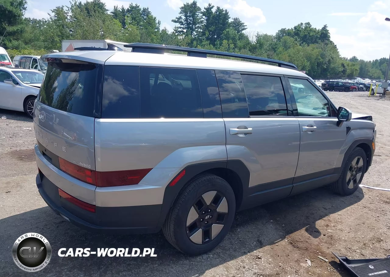 2024 Hyundai Santa Fe Hybrid Sel VIN:5NMP2DG1XRH001619 - 4
