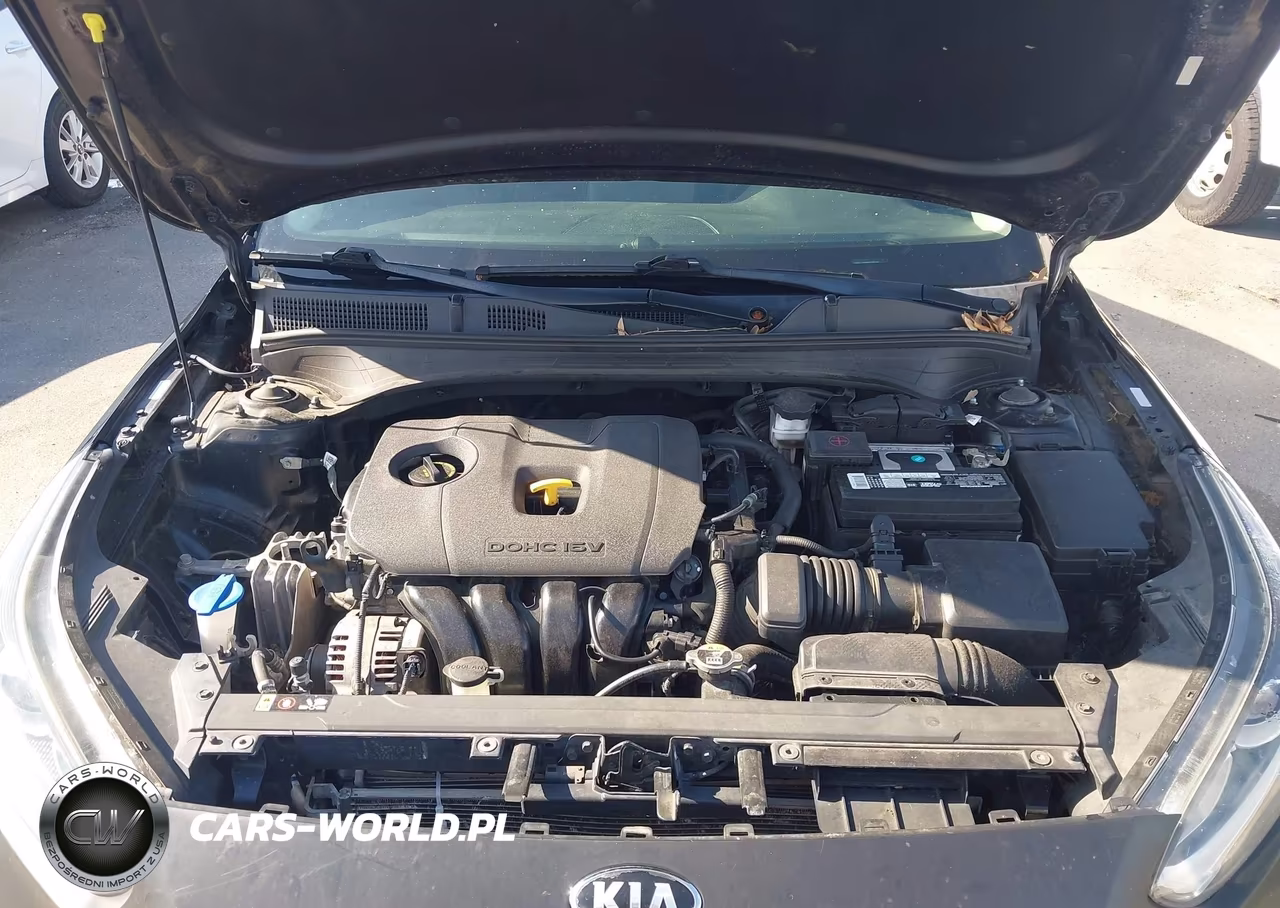 2019 Kia Forte Fe-Lx-Lxs VIN:3KPF24AD8KE070580 - 10