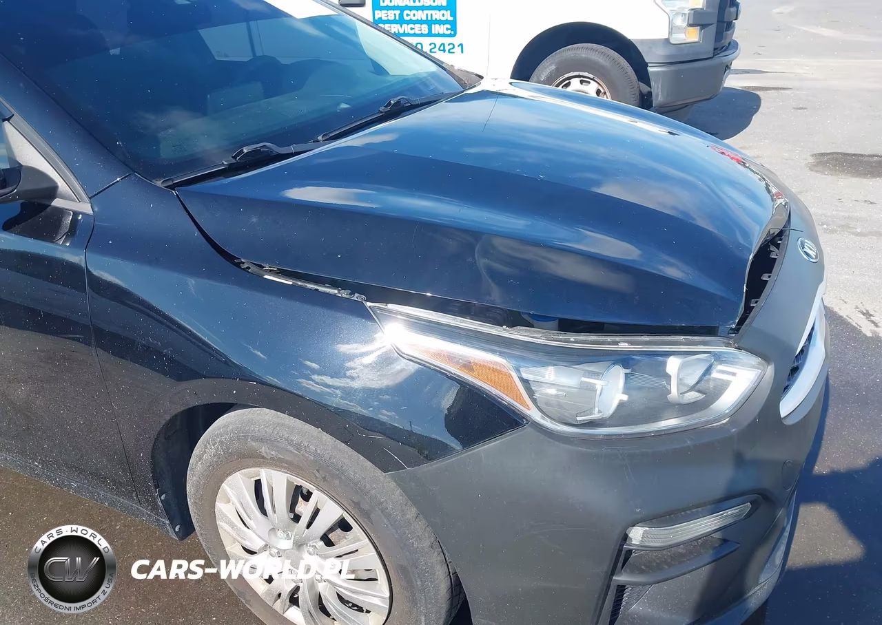 2019 Kia Forte Fe-Lx-Lxs VIN:3KPF24AD8KE070580 - 13