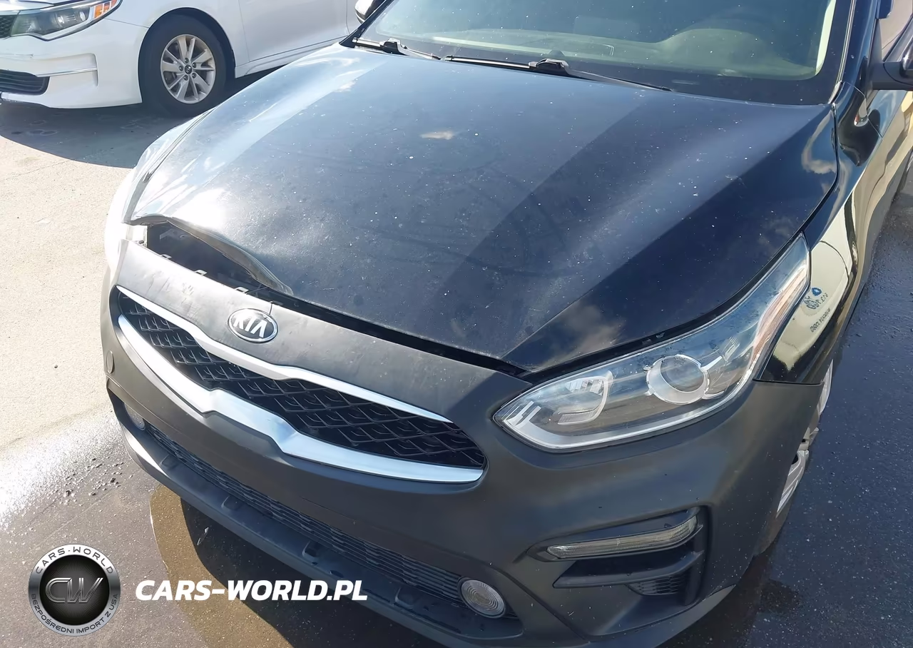 2019 Kia Forte Fe-Lx-Lxs VIN:3KPF24AD8KE070580 - 14