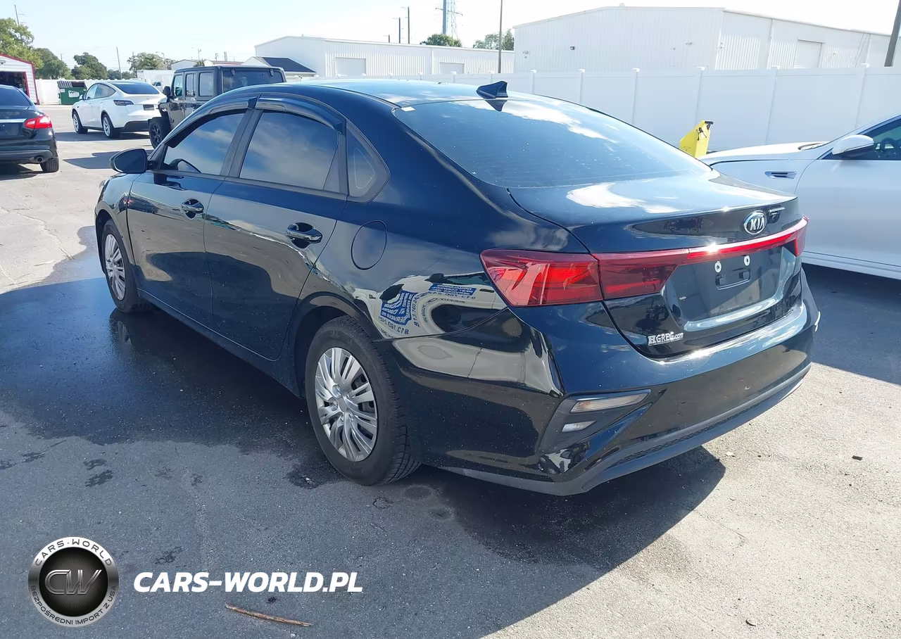 2019 Kia Forte Fe-Lx-Lxs VIN:3KPF24AD8KE070580 - 3
