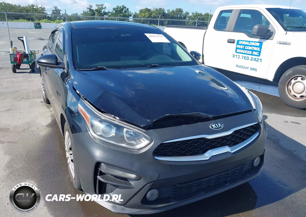 2019 Kia Forte Fe-Lx-Lxs VIN:3KPF24AD8KE070580 - 6