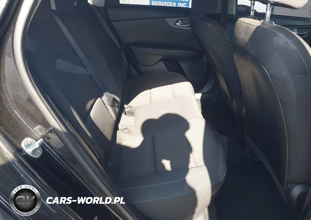 2019 Kia Forte Fe-Lx-Lxs VIN:3KPF24AD8KE070580 - 8
