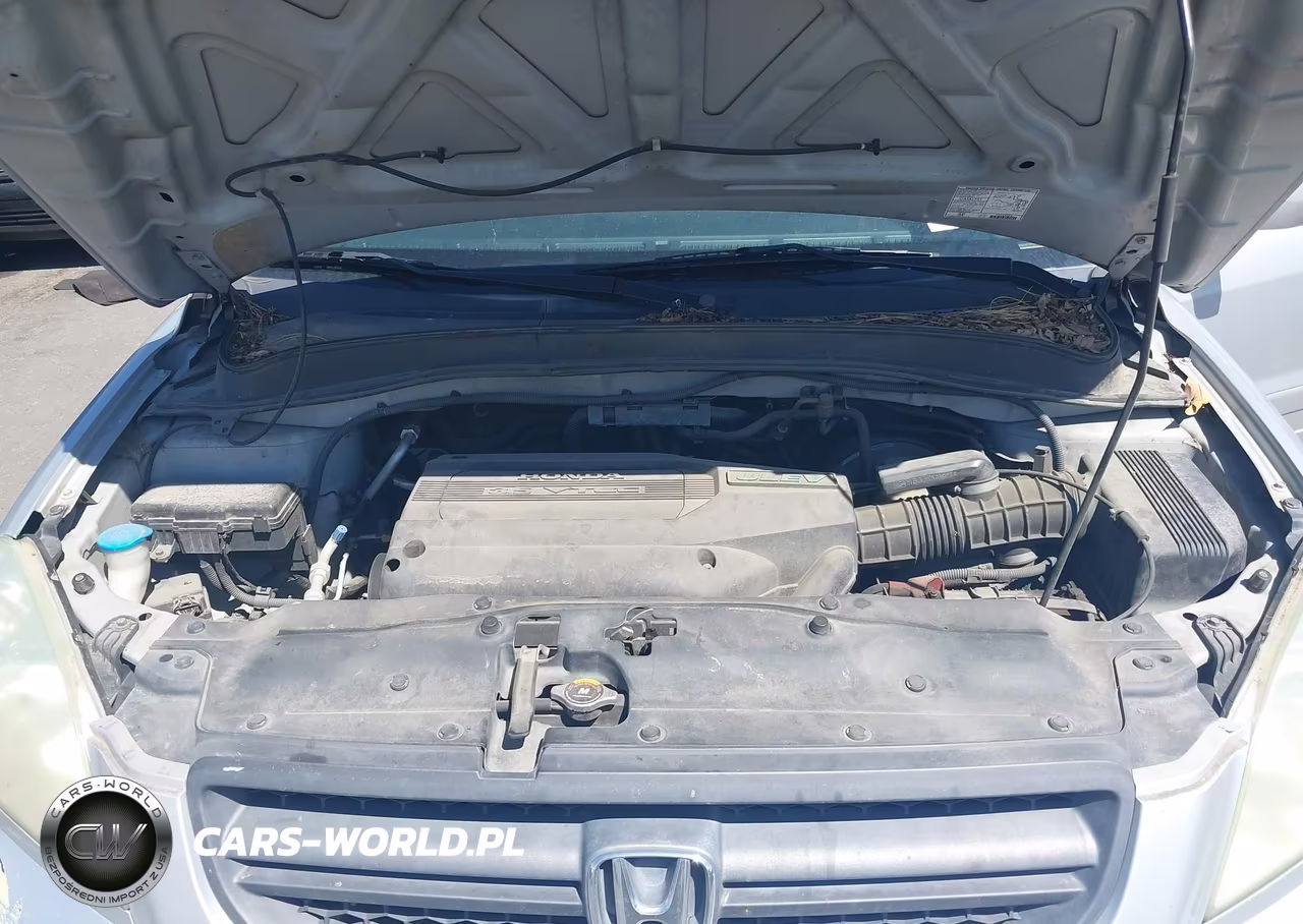 2004 Honda Pilot Ex-L VIN:2HKYF18514H565938 - 10