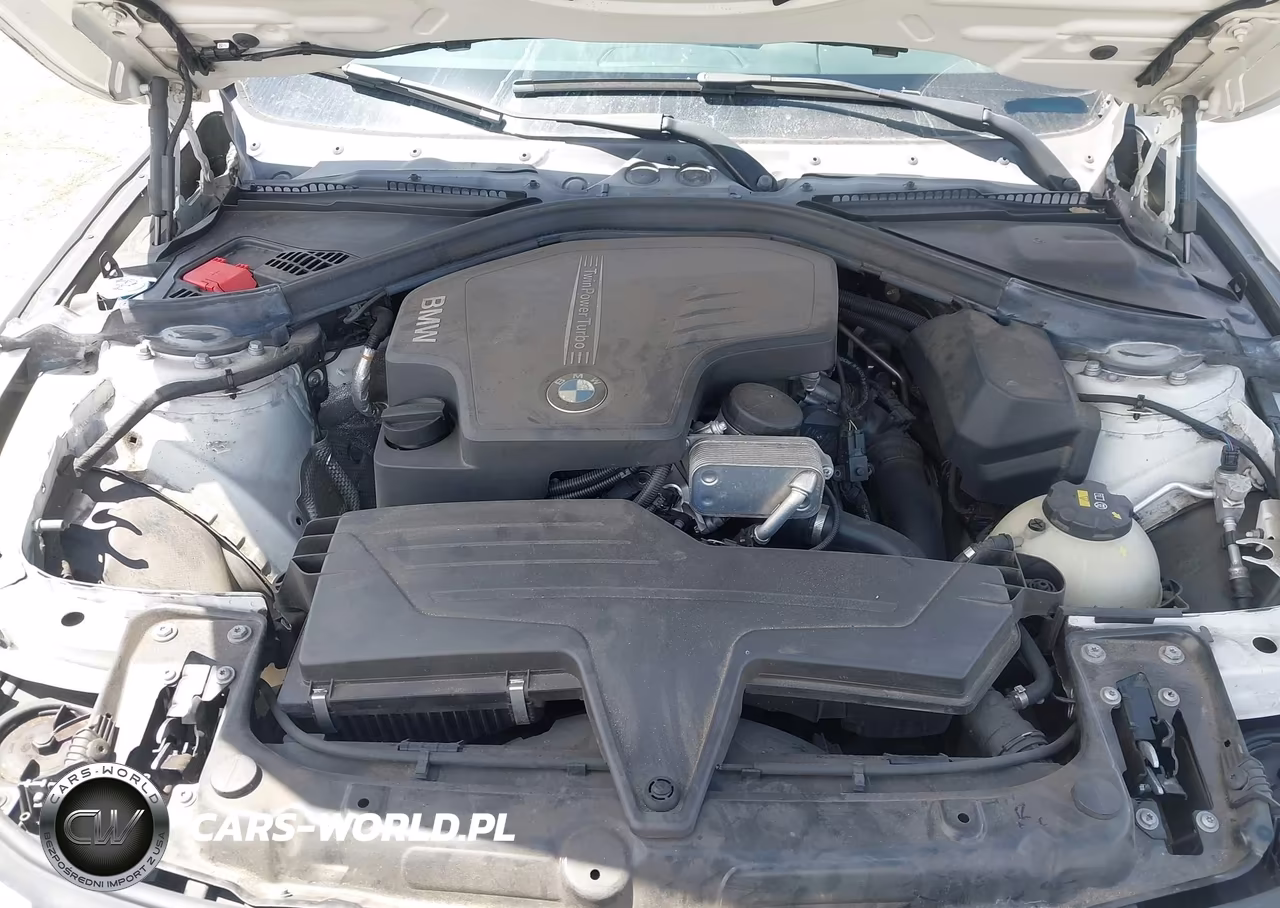 2017 BMW 320I VIN:WBA8A9C53HK619975 - 10