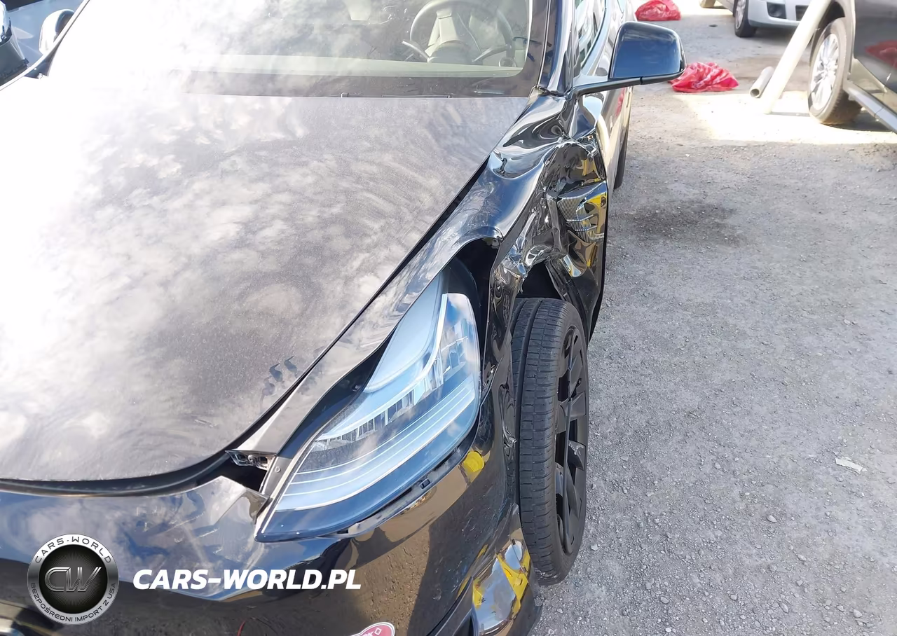 2021 Tesla Model Y Long Range Dual Motor All-Wheel Drive VIN:5YJYGAEE9MF296734 - 13