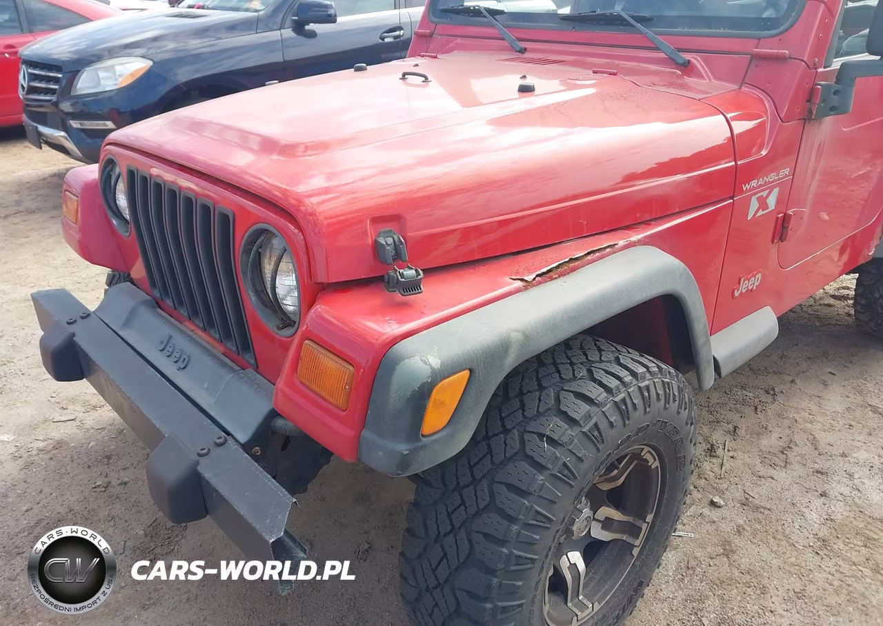1999 Jeep Wrangler Sport VIN:1J4FY19S4XP495375 - 6