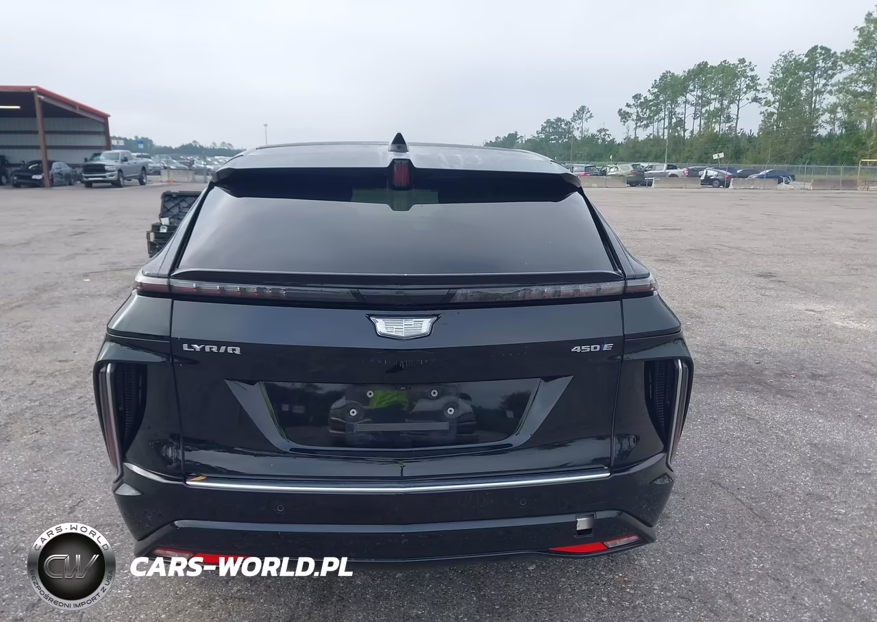 2024 Cadillac Lyriq Luxury W-1Sc VIN:1GYKPPRK8RZ132850 - 16