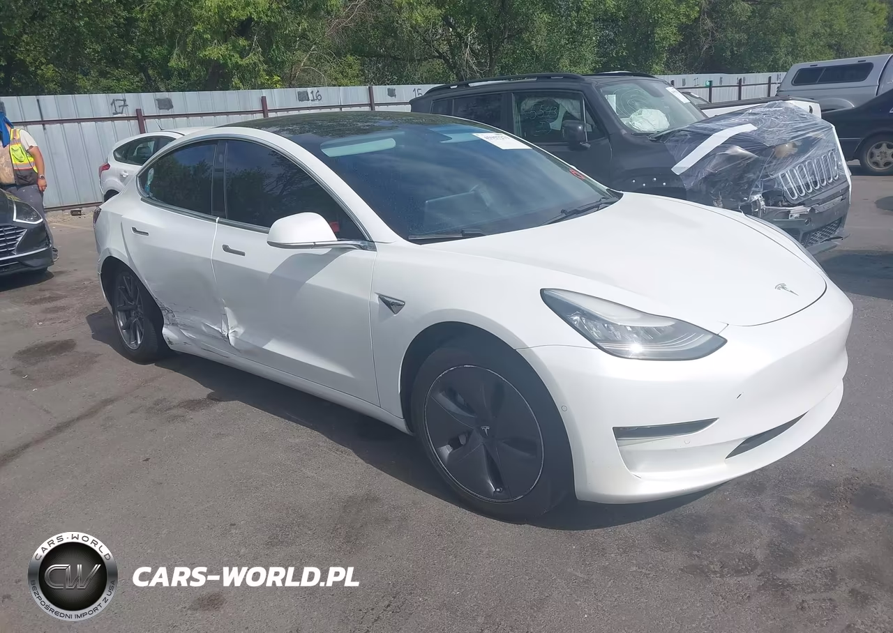 2020 Tesla Model 3 Standard Range Plus Rear-Wheel Drive-Standard Range Rear-Wheel Drive – zdjęcie 1 z 18