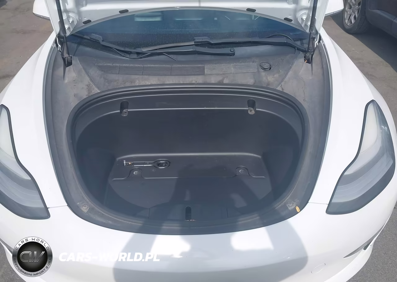 2020 Tesla Model 3 Standard Range Plus Rear-Wheel Drive-Standard Range Rear-Wheel Drive VIN:5YJ3E1EA7LF612448 - 10