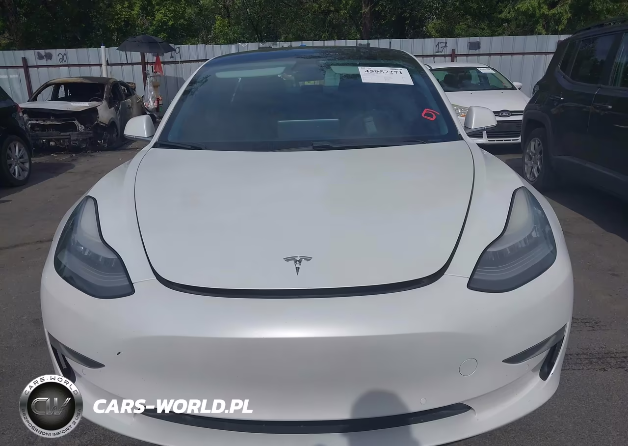2020 Tesla Model 3 Standard Range Plus Rear-Wheel Drive-Standard Range Rear-Wheel Drive VIN:5YJ3E1EA7LF612448 - 11