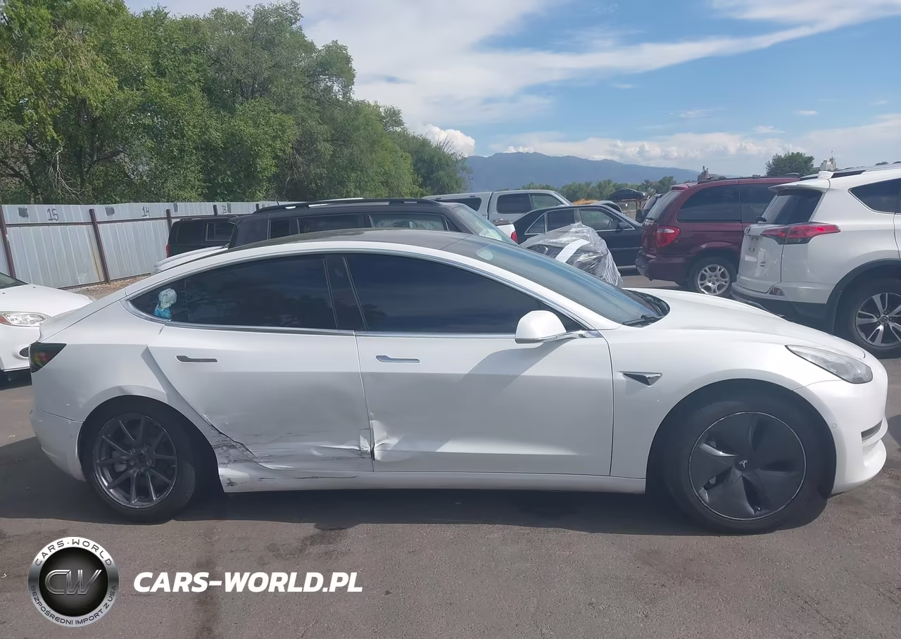 2020 Tesla Model 3 Standard Range Plus Rear-Wheel Drive-Standard Range Rear-Wheel Drive VIN:5YJ3E1EA7LF612448 - 12