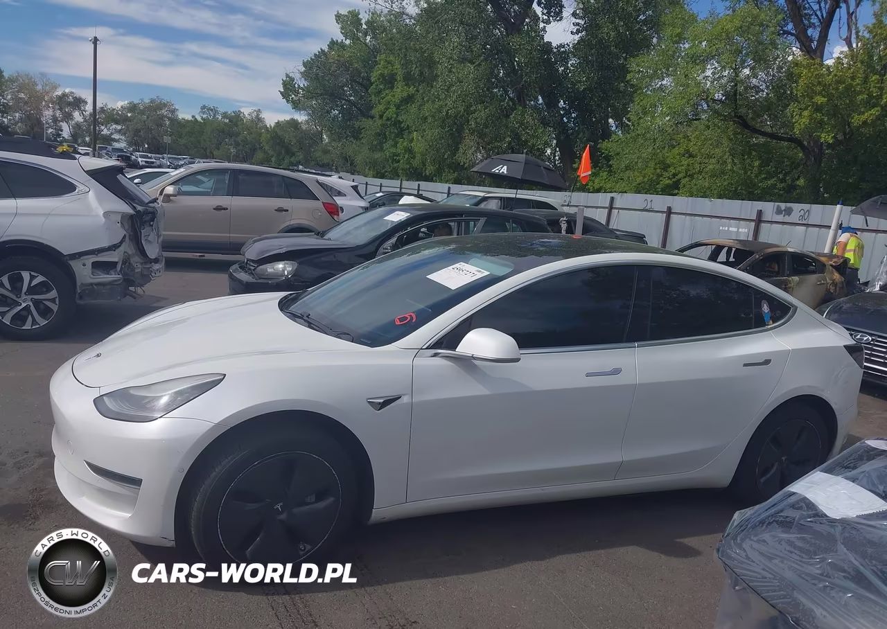 2020 Tesla Model 3 Standard Range Plus Rear-Wheel Drive-Standard Range Rear-Wheel Drive VIN:5YJ3E1EA7LF612448 - 13