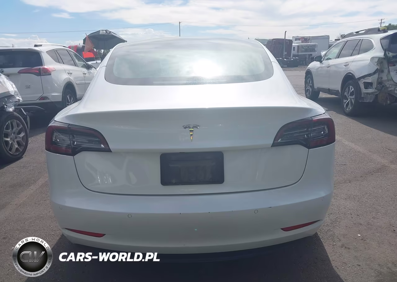 2020 Tesla Model 3 Standard Range Plus Rear-Wheel Drive-Standard Range Rear-Wheel Drive VIN:5YJ3E1EA7LF612448 - 15
