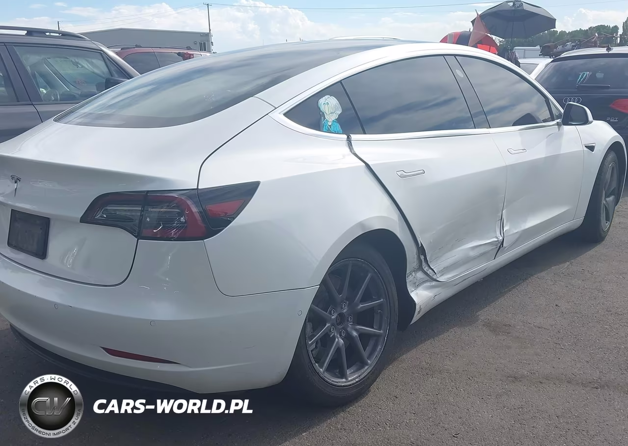 2020 Tesla Model 3 Standard Range Plus Rear-Wheel Drive-Standard Range Rear-Wheel Drive VIN:5YJ3E1EA7LF612448 - 18
