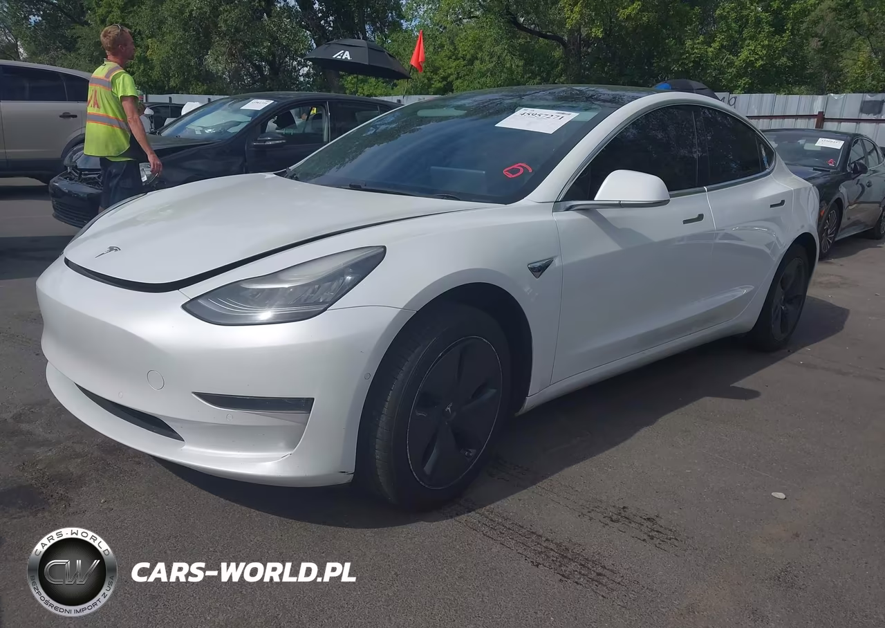 2020 Tesla Model 3 Standard Range Plus Rear-Wheel Drive-Standard Range Rear-Wheel Drive VIN:5YJ3E1EA7LF612448 - 2