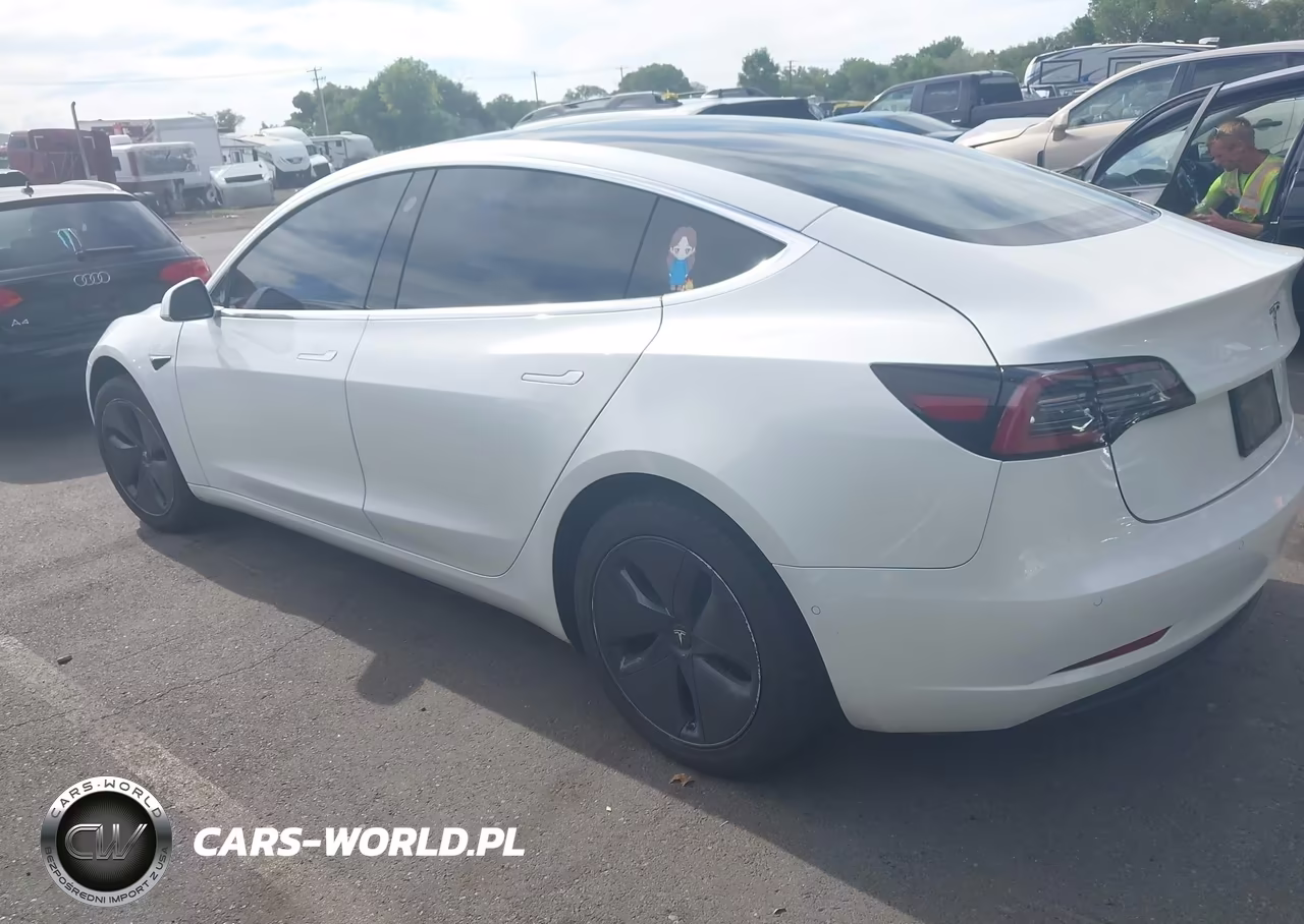 2020 Tesla Model 3 Standard Range Plus Rear-Wheel Drive-Standard Range Rear-Wheel Drive VIN:5YJ3E1EA7LF612448 - 3