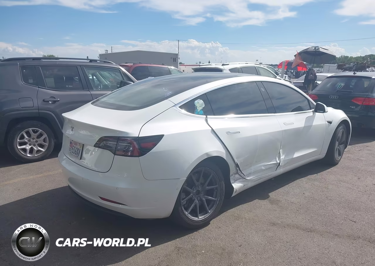 2020 Tesla Model 3 Standard Range Plus Rear-Wheel Drive-Standard Range Rear-Wheel Drive VIN:5YJ3E1EA7LF612448 - 4