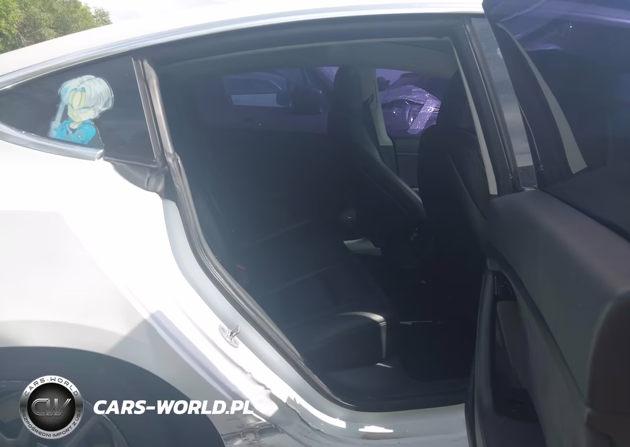 2020 Tesla Model 3 Standard Range Plus Rear-Wheel Drive-Standard Range Rear-Wheel Drive VIN:5YJ3E1EA7LF612448 - 8