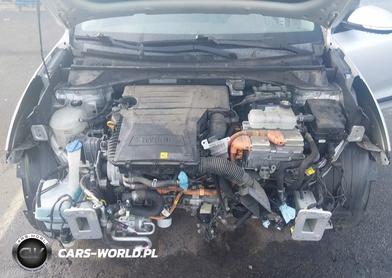 2019 Kia Niro Ex VIN:KNDCC3LC8K5221492 - 10