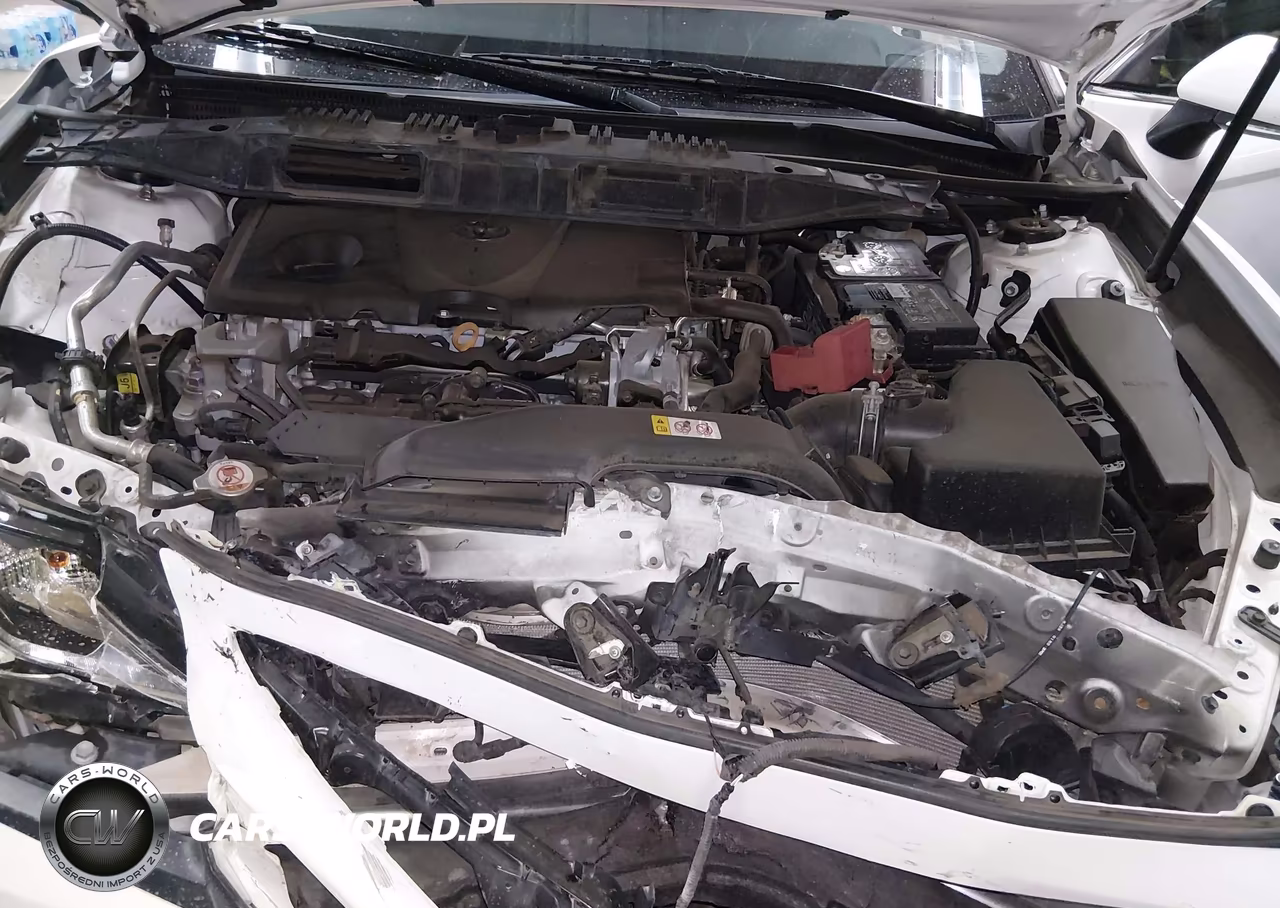 2019 Toyota Camry Se VIN:4T1B11HK0KU715563 - 10