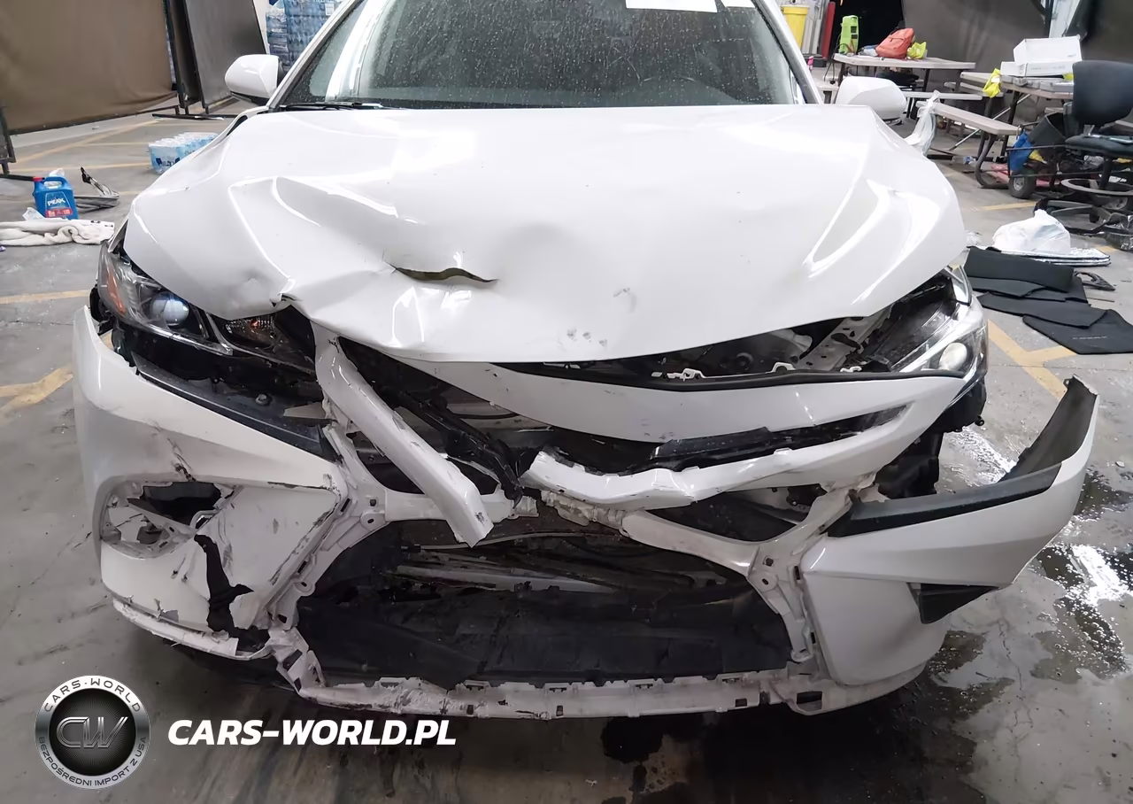 2019 Toyota Camry Se VIN:4T1B11HK0KU715563 - 12