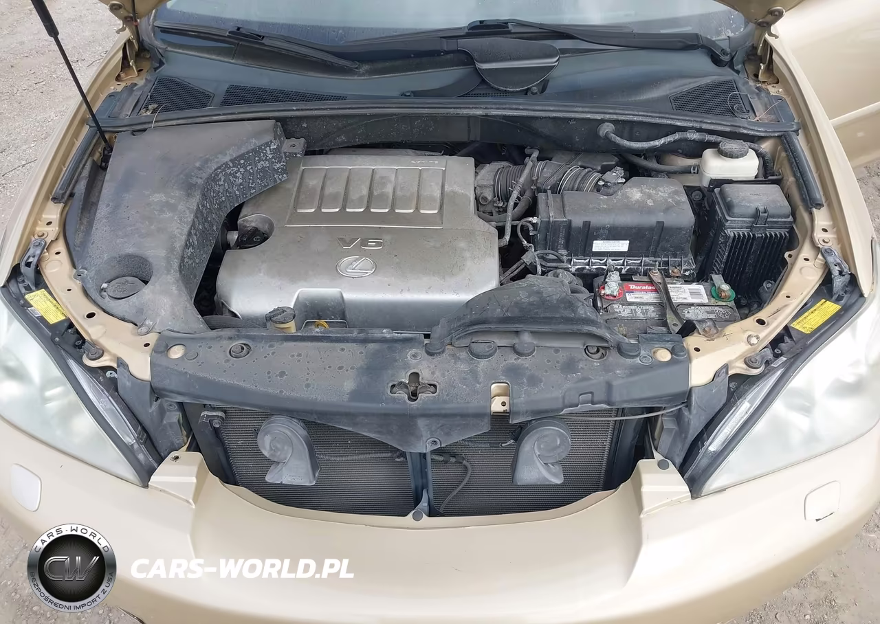 2009 Lexus Rx 350 VIN:2T2HK31U89C119364 - 10